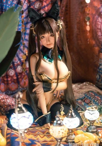 免费看电视